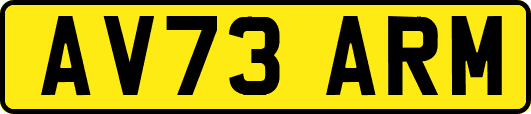 AV73ARM