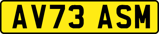 AV73ASM