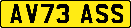AV73ASS