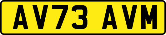 AV73AVM