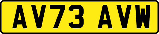 AV73AVW