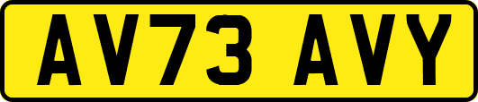 AV73AVY