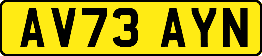 AV73AYN