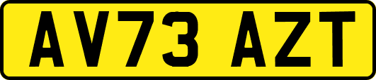 AV73AZT
