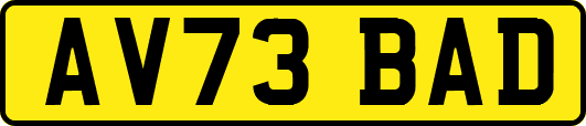 AV73BAD