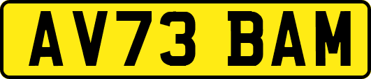 AV73BAM