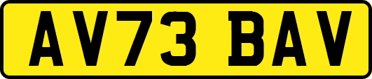 AV73BAV