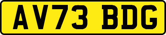 AV73BDG