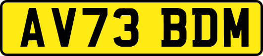 AV73BDM