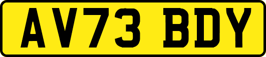 AV73BDY