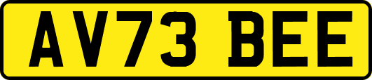 AV73BEE