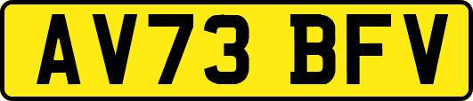 AV73BFV