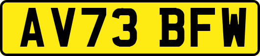 AV73BFW