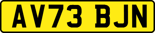 AV73BJN