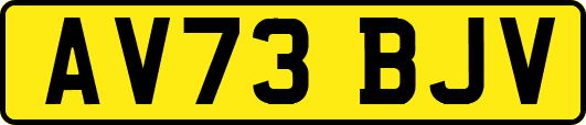 AV73BJV