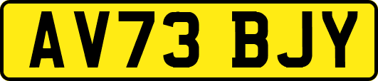 AV73BJY
