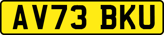 AV73BKU