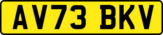 AV73BKV