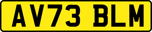 AV73BLM