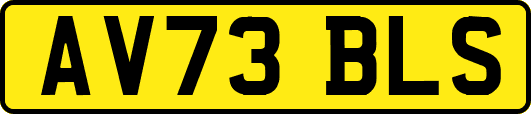 AV73BLS