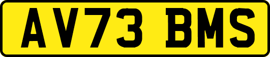 AV73BMS