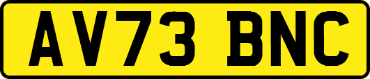 AV73BNC