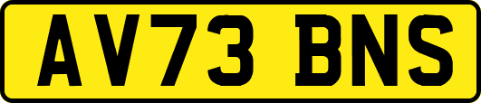 AV73BNS