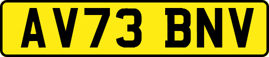 AV73BNV