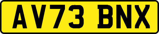 AV73BNX