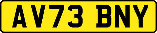 AV73BNY