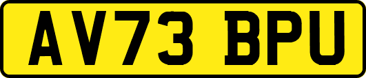 AV73BPU