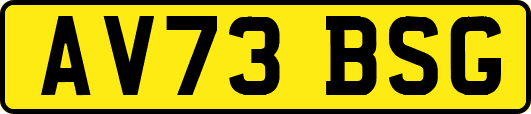 AV73BSG