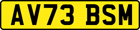 AV73BSM