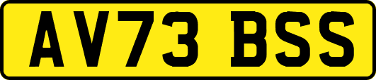 AV73BSS