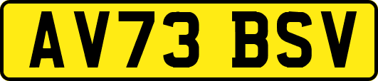 AV73BSV