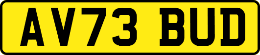 AV73BUD