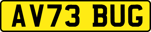 AV73BUG
