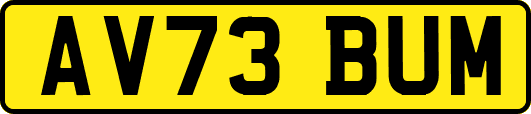AV73BUM