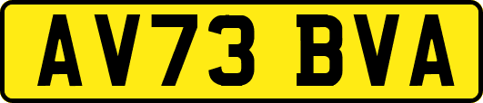 AV73BVA