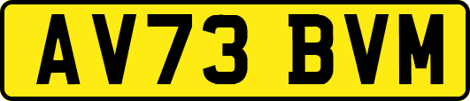 AV73BVM