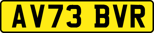 AV73BVR