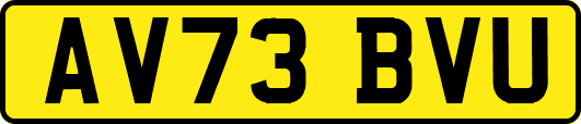 AV73BVU