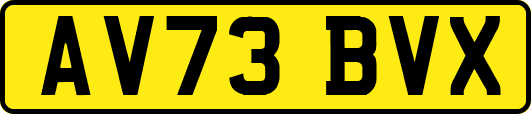 AV73BVX