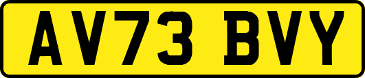 AV73BVY