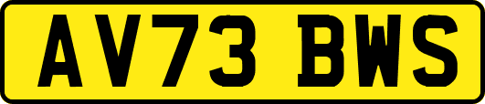 AV73BWS