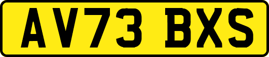 AV73BXS