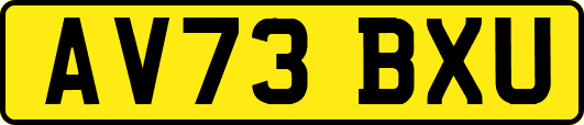AV73BXU