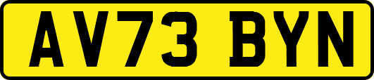 AV73BYN