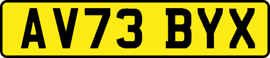 AV73BYX