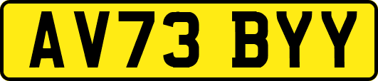 AV73BYY